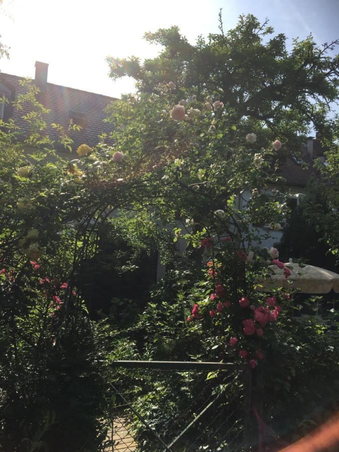Vintage-Mansarde Uber Wilden Garten Stuttgart Bagian luar foto